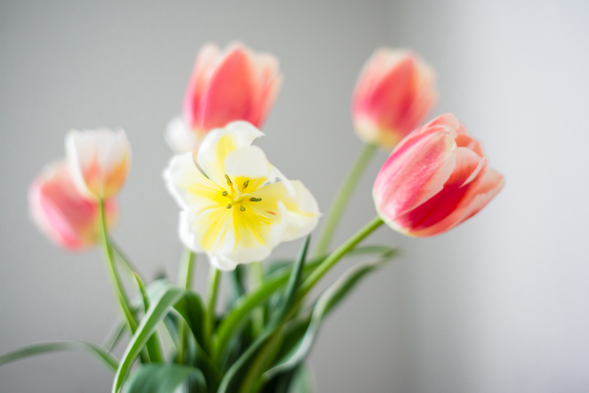 You Can Make Budgeting Fun! | 10 Tips to Change the Way You Budget