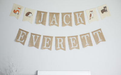 Baby Boy Woodland Nursery Decor | Budget-Friendly Ideas & DIYs