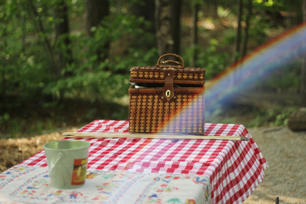 Kitchen Skills Kids Can Learn - Packing a Picnic Lunch