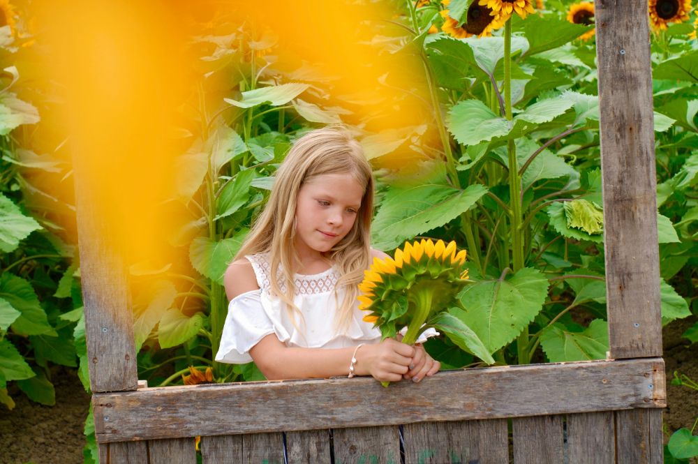 Life Skills for Homeschoolers - Gardening and Flower Arranging