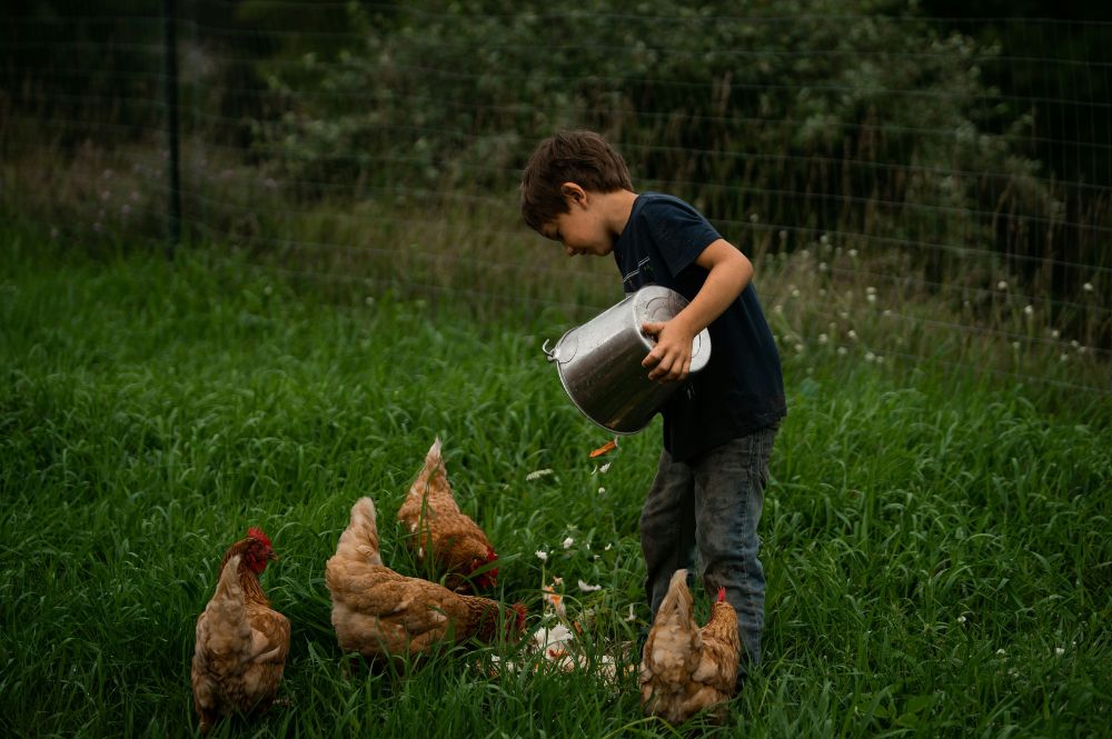 Life Skills for Homeschoolers - Taking Care of Animals and Pets