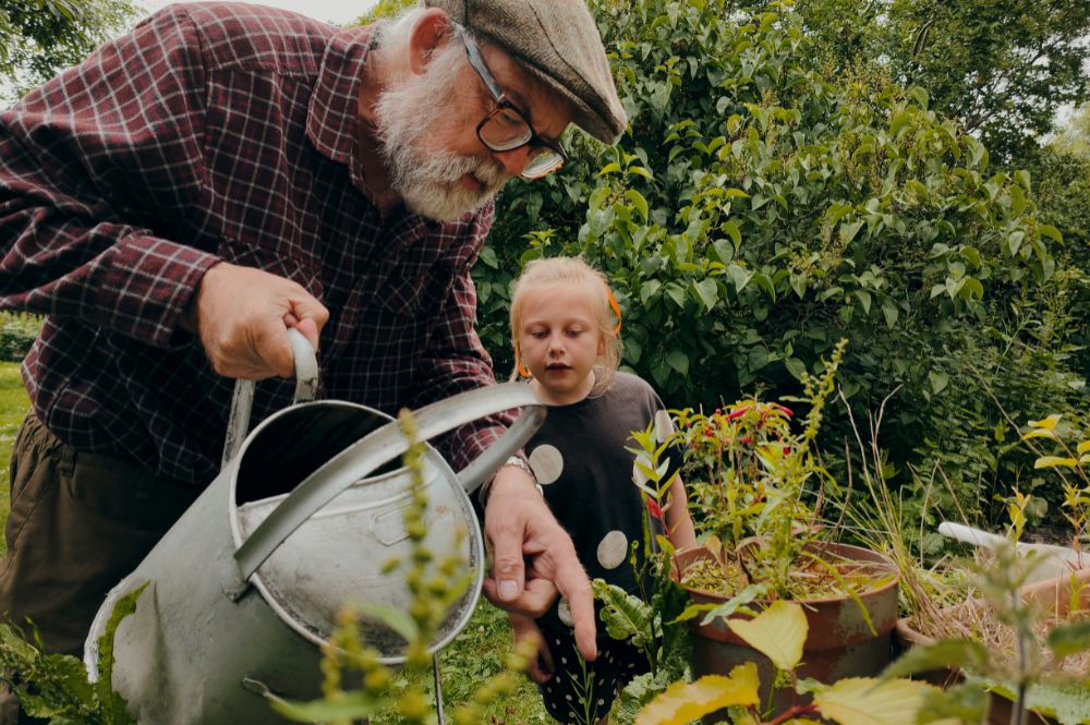Gardening and Growing Vegetables
