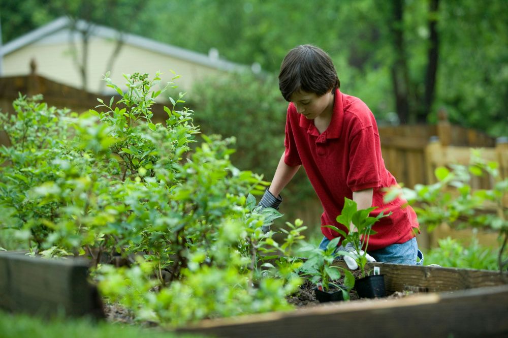 Life Skills for Homeschoolers - Raised Bed Gardening Herbs and Produce