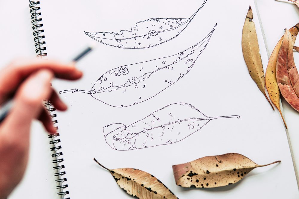 Screen-Free Hobbies for Kids - Nature Journaling