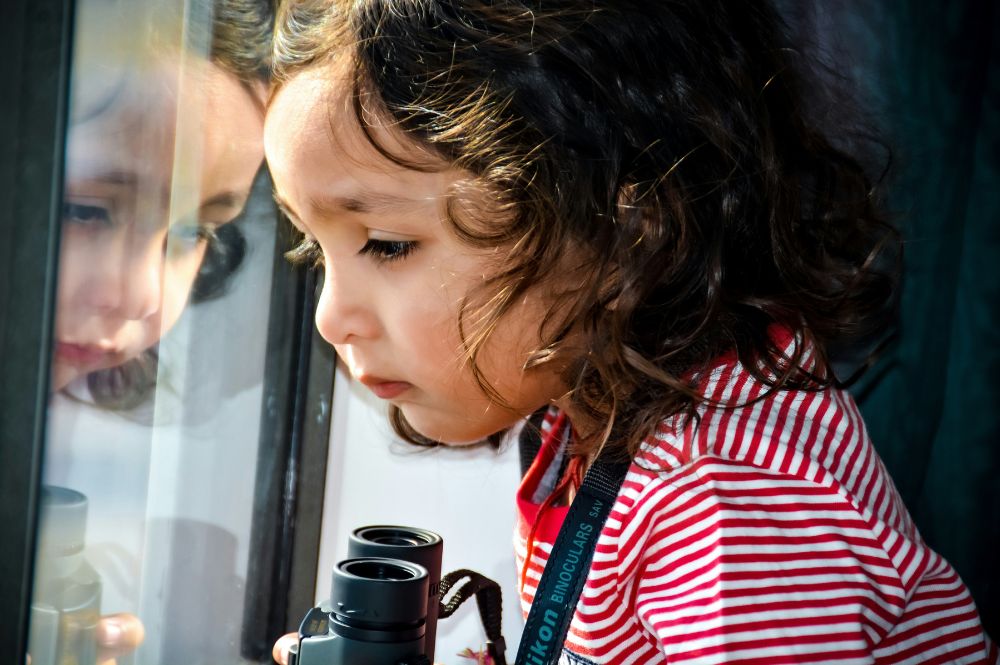Screen-Free Hobbies for Kids - Birdwatching